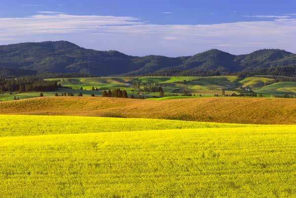 The Cheapest States to Buy Farmland in the United States